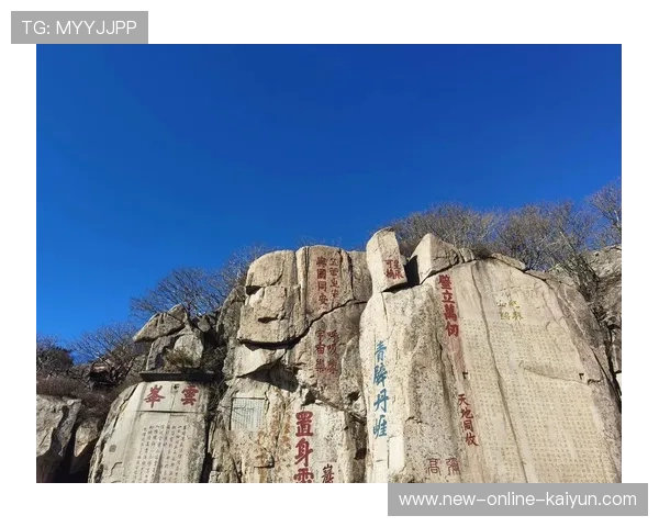 山东泰山节奏突然上档 山东泰山节奏突然上档